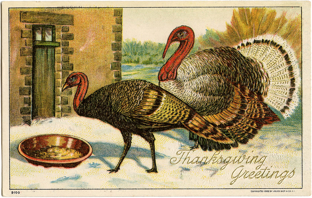 A Thanksgiving greeting card from 1908