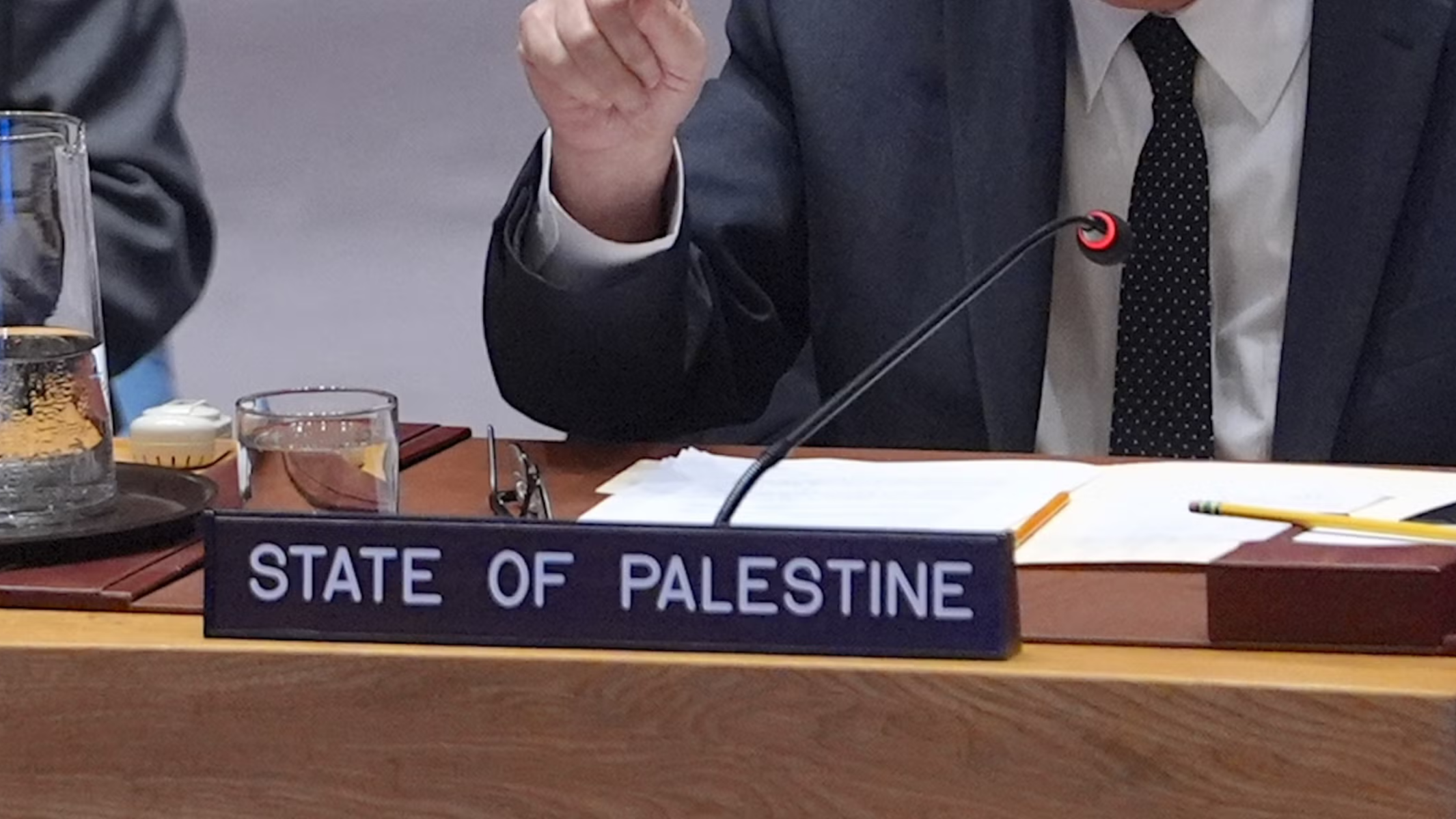 The Palestinian ambassador to the United Nations